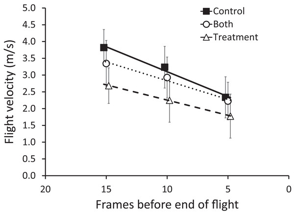 Mean (±95% CI) flight velocity across sequential five frames of flight (15–11, 10–6, 5–1, counting from the end of flight) for zebra finches.