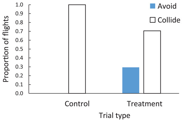 Proportion of flights when brown-headed cowbirds were adjudged to collide with windows (open bars) or avoid windows (filled bars) in either the control or treatment trials.