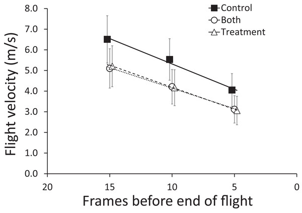 Mean (±95% CI) flight velocity across sequential five frames of flight (15–11, 10–6, 5–1, counting from the end of flight) for brown-headed cowbirds.