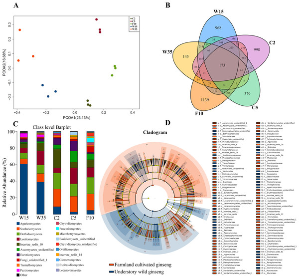 Non-rhizosphere soil associated fungal community.