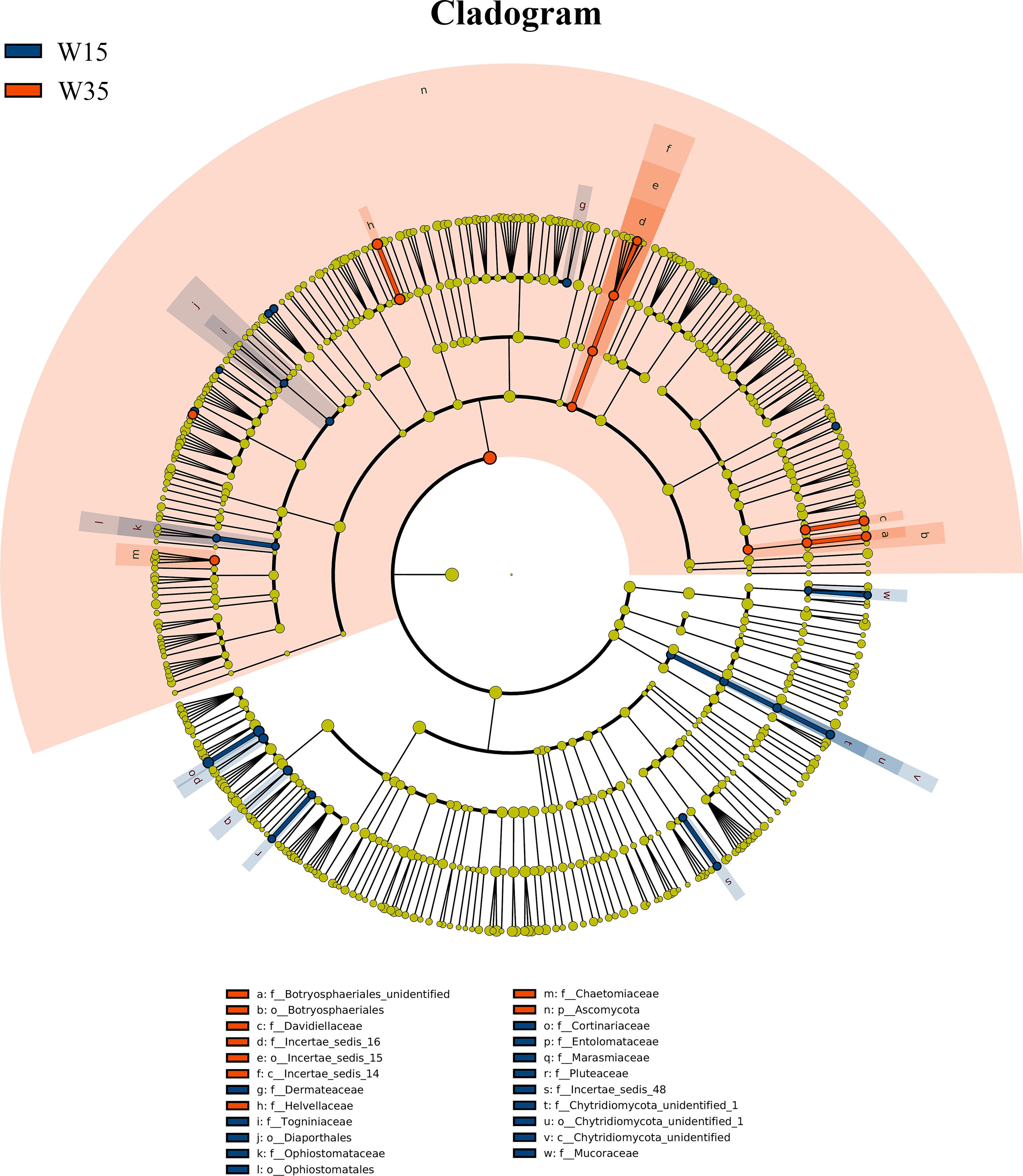 The Fungal Community In Non Rhizosphere Soil Of Panax Ginseng Are Driven By Different Cultivation Modes And Increased Cultivation Periods Peerj