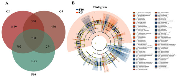 Non-rhizosphere soil fungal community variation between farmland cultivated ginseng and fallow field.