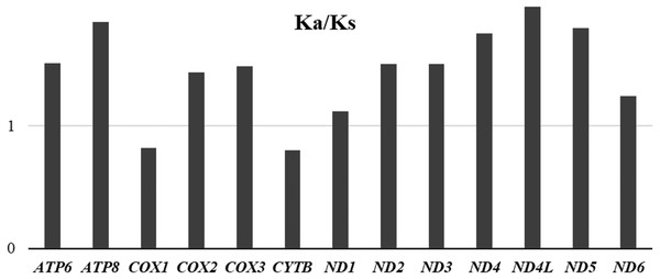 Average evolutionary rates of PCGs in Unaspis yanonensis, Planococcus citri and Ceroplastes rubens.