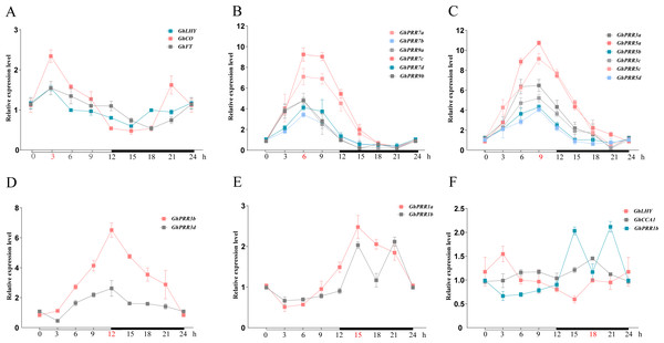 The expression pattern of PRR gene family and related genes during 24 h in LMY19.