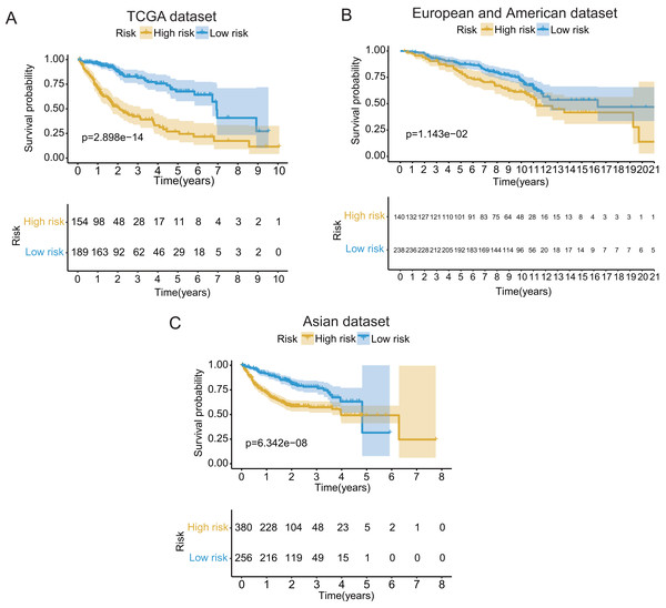 The Kaplan–Meier (KM) survival curves of the GRGPs signature for patients with HCC based on TCGA and two validation datasets.