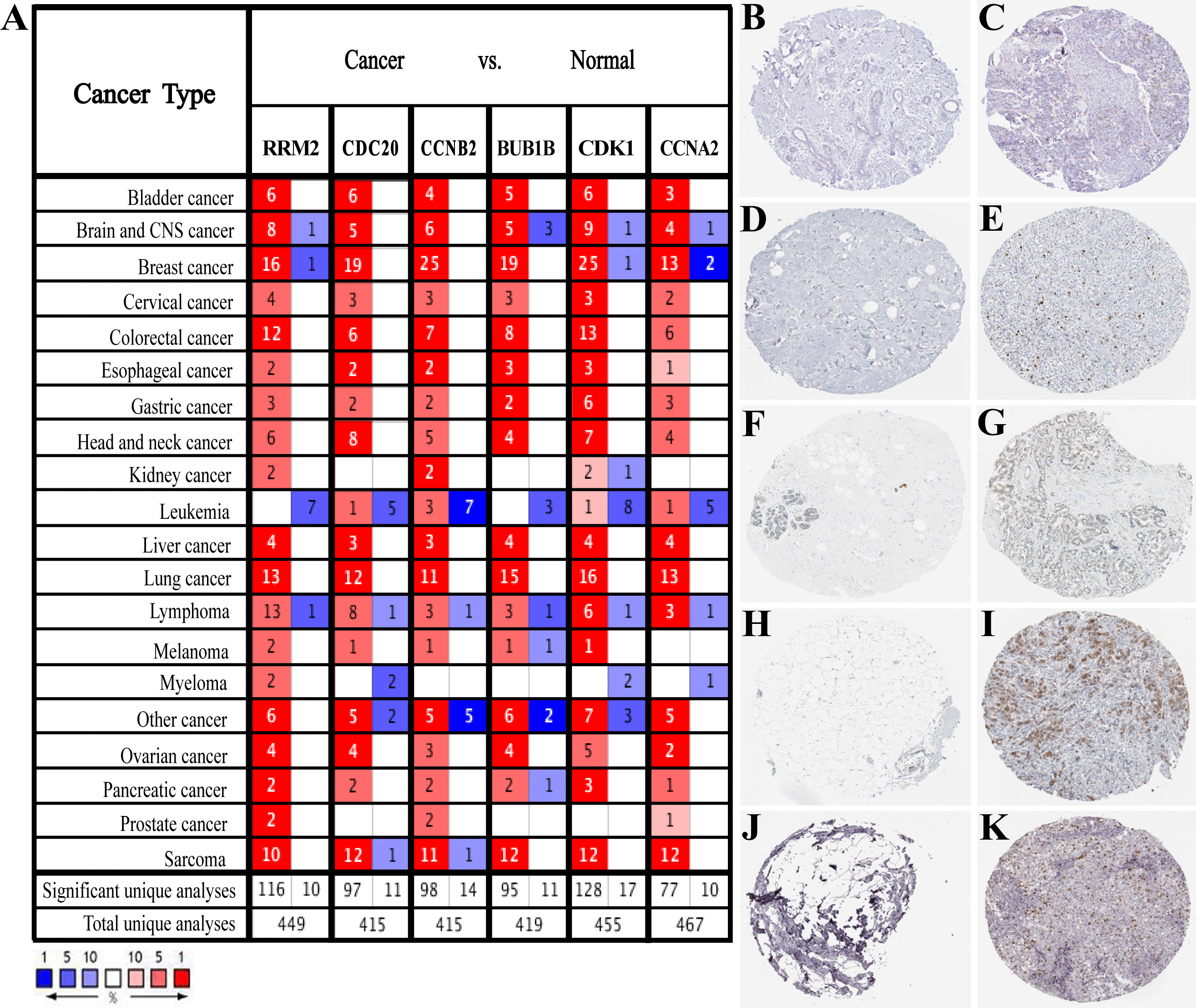 Identification Of Hub Genes And Small Molecule Therapeutic Drugs ...