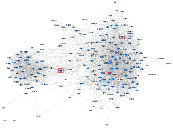 Protein–protein interaction networks of KEGG pathway significantly enriched genes.