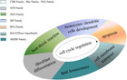 Master regulator genes and their impact on major diseases [PeerJ]