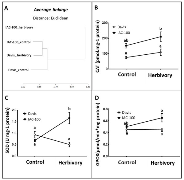 Oxidative stress analysis in seeds of different soybean genotypes damaged by Nezara viridula and their respective controls without herbivory.