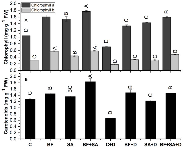 Effect of biofetilizer (Phytoguard) and salicylic acid (SA) on (A) chlorophyll and (B) carotenoids content of wheat (Triticum aestivum L.) plants in control and drought stressed conditions