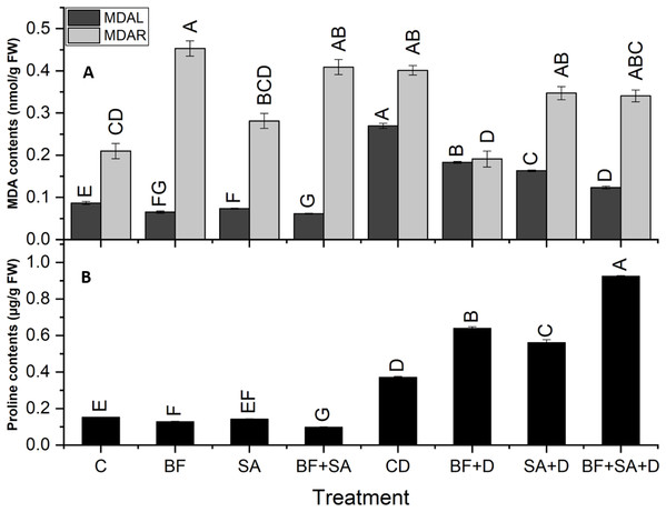 Effect of biofetilizer (Phytoguard) and salicylic acid (SA) on (A) MDA content and (B) proline contents of wheat (Triticum aestivum L.) plants in control and drought stressed conditions.