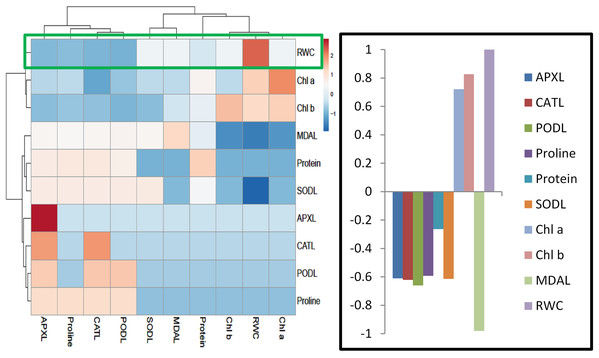 Heatmap responses of Pearson’s Correlation Coefficient (r) for the antioxidant enzymes, stress determinants and relative water content of wheat leaves treated with sole and combined application of SA and BF under drought stressed condition.