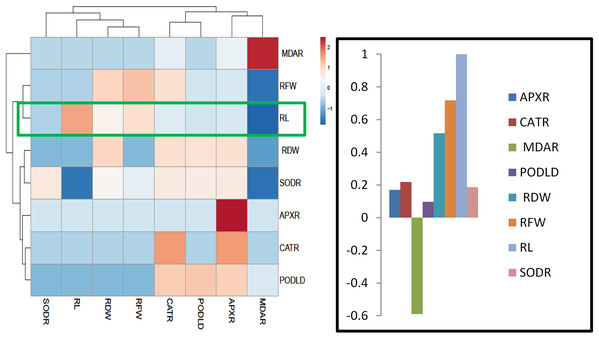 Heatmap responses of Pearson’s Correlation Coefficient (r) for the antioxidant enzymes and growth attributes of wheat roots treated with sole and combined application of SA and BF under drought stressed condition.