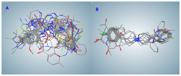 Flexible alignments of compounds in clusters selected by the pharmacophore-based search of possible drug-candidates in the conformational database of FDA-approved drugs having the best docking energies.