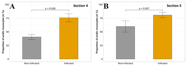 Comparison of the acid mucous cells proportion (in %) in non-infected and infected fish in different sections of P. orbicularis GIT.