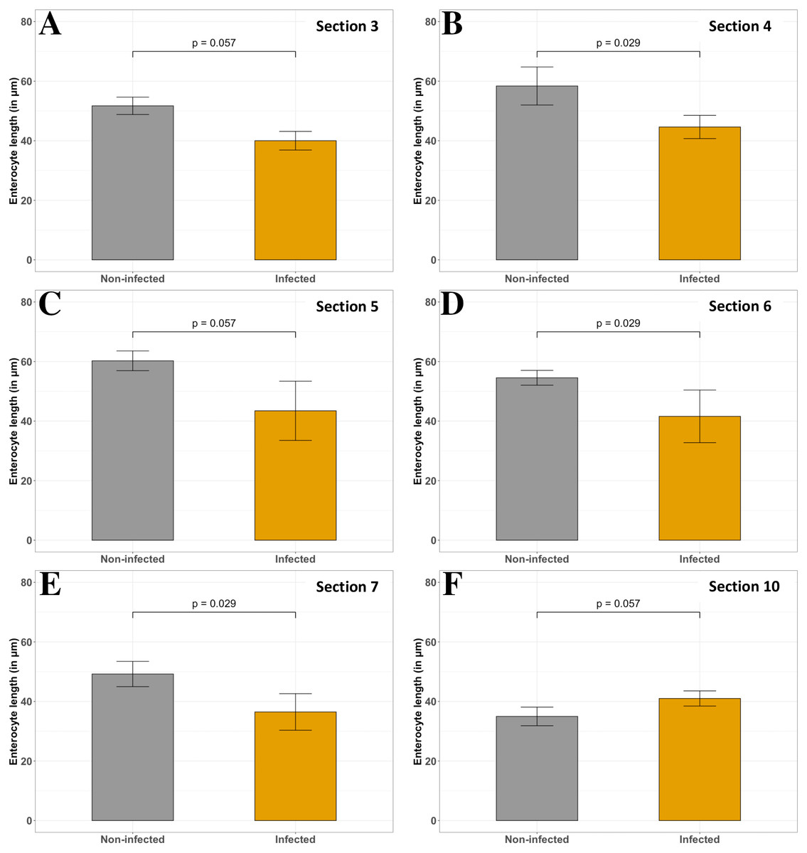 Description Of The Unusual Digestive Tract Of Platax Orbicularis And The Potential Impact Of Tenacibaculum Maritimum Infection Peerj