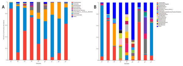 The histogram of relative abundance for species in Common Kestrel at phylum (A) and genus (B) level.