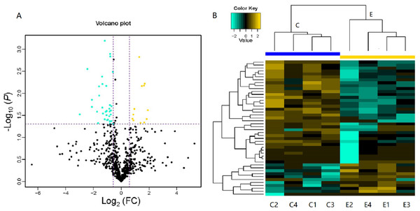 Volcano plot and heatmap of differentially expressed proteins (DEPs) in children with or without asthma.