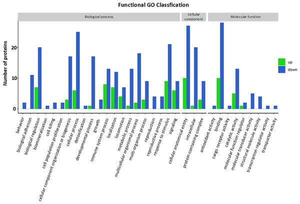 Gene Ontology (GO) annotation for functional classification.