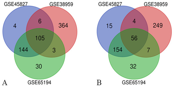 Venn diagrams of the differentially expressed genes (DEGs).