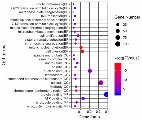 GO enrichment analysis of the differentially expressed genes (DEGs).