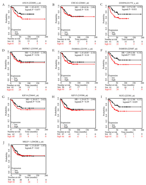 The correlation of 10 hub genes expression levels with the recurrence-free survival of triple-negative breast cancer (TNBC) samples.