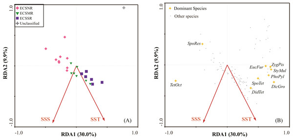 Radiolarian Assemblages In The Shelf Area Of The East China Sea And ...