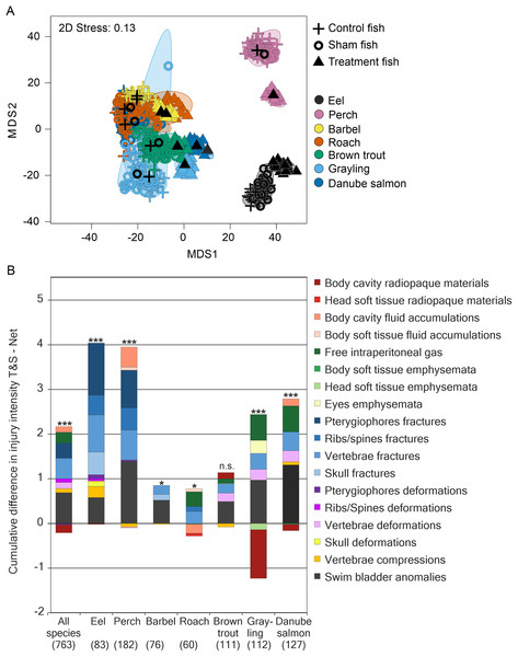 Species–specific differences in internal fish injury patterns between treatments.