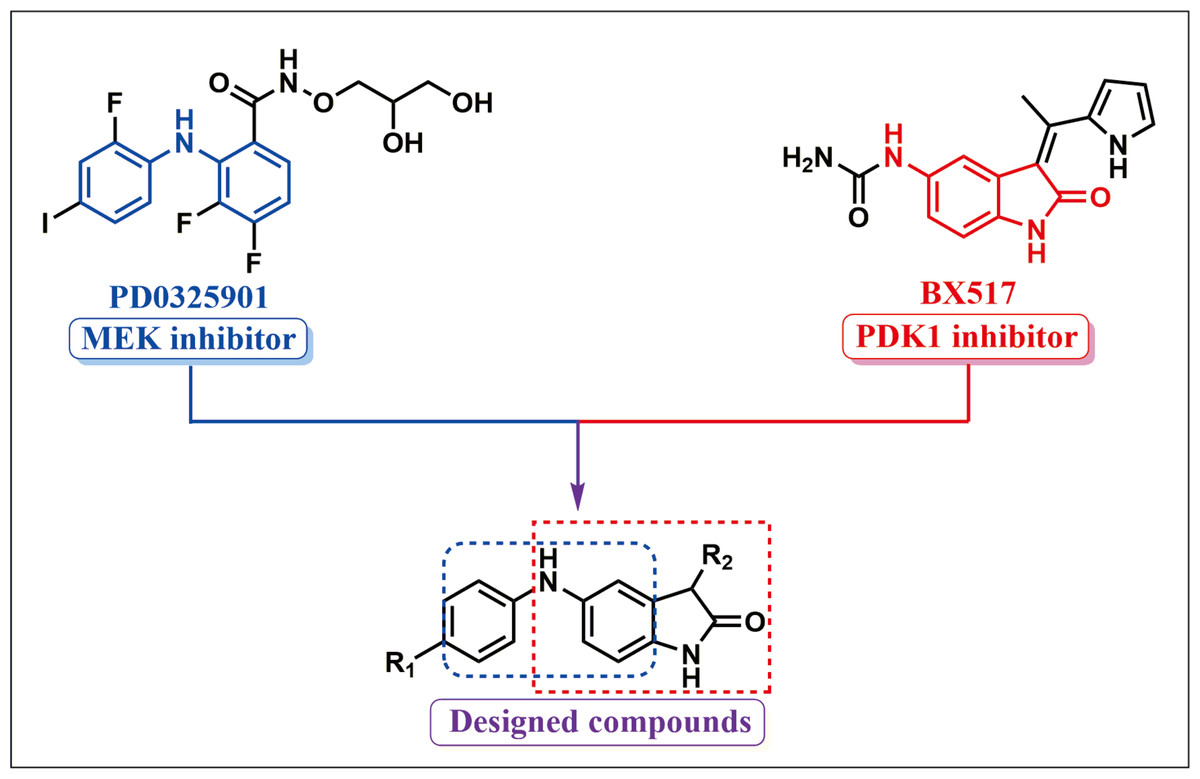 A Novel Dual MEK/PDK1 Inhibitor 9za Retards The Cell Cycle At G0/G1 ...