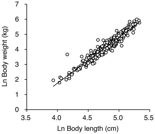 Relationship between ln-transformed body weight and ln-transformed body length for 476 brown bears killed or captured in the Shiretoko Peninsula, Hokkaido, Japan, during 1998–2017.