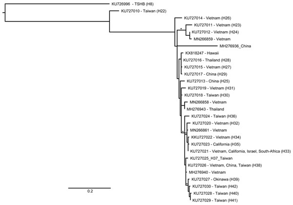 Relationship of an invasive Hawaiian population of Euwallacea perbrevis with those in its native range, based on COI sequences.