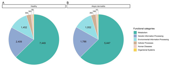 Comparative distribution of the main functional categories of metaproteome data between the (A) healthy and (B) atopic dermatitis groups based on the KEGG database.