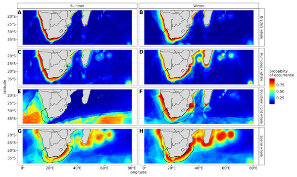 Ensemble model projection using the mean probabilities for each season for the Bryde’s whale, humpback whale, southern right whale and sperm whale.