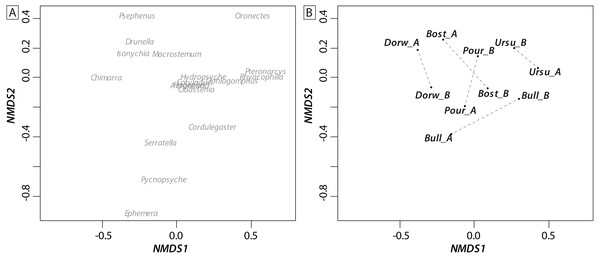  NMDS ordination biplot (A: individual taxa; B: communities) of invertebrate communities at waterfall sites based on Bray_Curtis index (presence/absence).