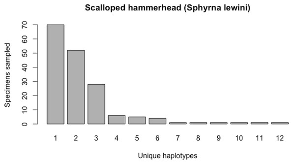 Initial haplotype frequency distribution for N= 171 high-quality scalloped hammerhead (Sphyrna lewini) COI barcode sequences obtained from BOLD.