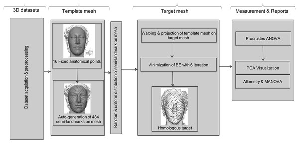 Schematic conceptual diagram of the proposed homologous multi-point warping algorithm.