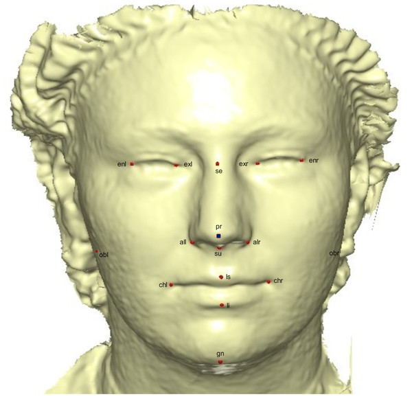 A 3D mesh template with the location of the prominent point at the center of the face for pose-invariant correction.