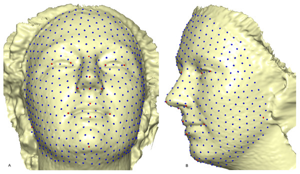 A 3D mesh template of the reference model with 500 landmarks.