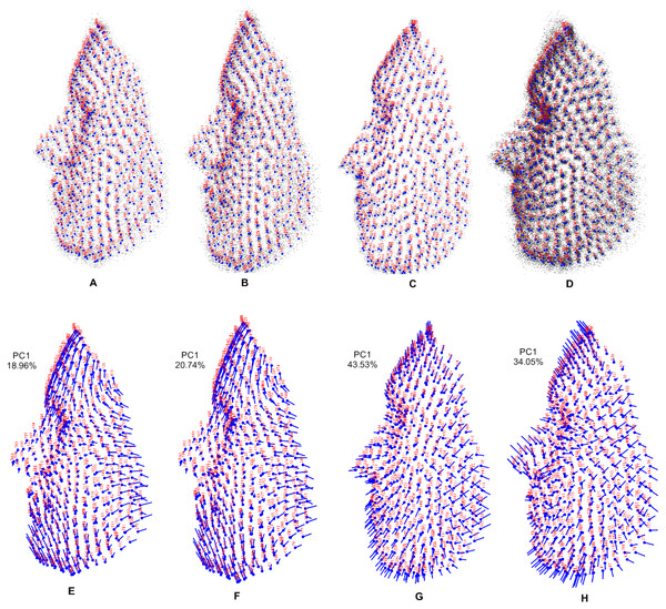 Visualization using 3D dataset objects and lollipop graphs.