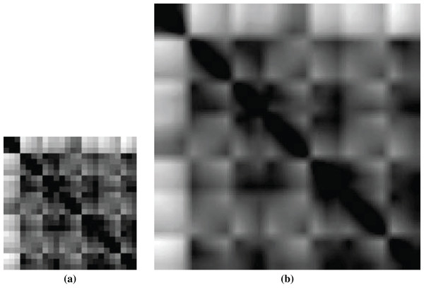 Image-based Effective Feature Generation For Protein Structural Class ...