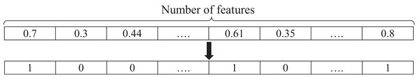 An instance of a feature selection representation.
