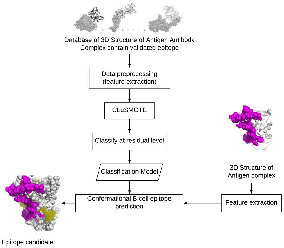 Enhancement Of Conformational B-cell Epitope Prediction Using CluSMOTE ...