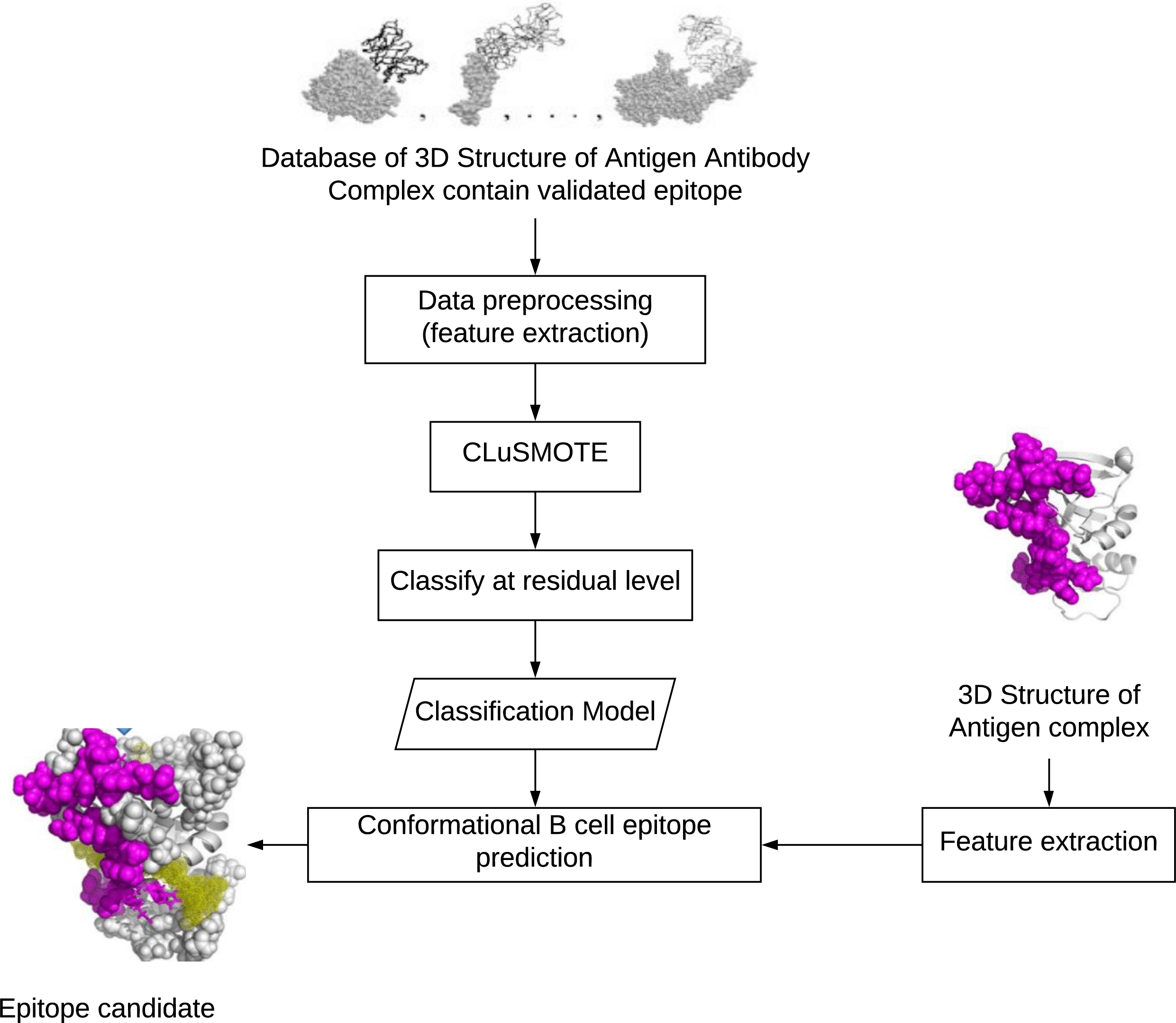 Enhancement Of Conformational B-cell Epitope Prediction Using CluSMOTE ...