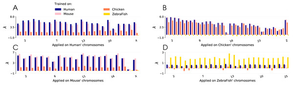 Lambda scores obtained with CNN trained on four different species: human, mouse, chicken and zebrafish.
