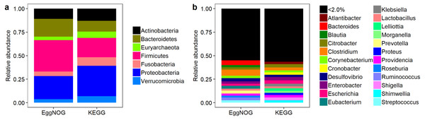 Relative abundance of NOGs and KOs throughout phyla (A) and genera (B) for EggNOG and KEGG cross-searches.