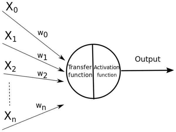 Parts of an artificial neuron (Xi represents the inputs, wi represents the weights).