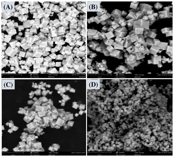 SEM images of the pure NaTaO3 (A), c-NaTaO3 (B), s-NaTaO 3 (C), and c-NaTaO3 without glucose as a reaction component (D).