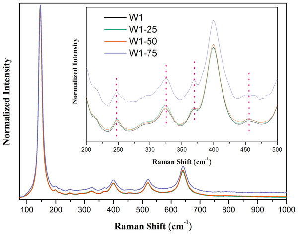 Raman spectra of the synthesized photocatalysts. Insert peaks at 247 cm−1, 323 cm−1, 368 cm−1, and 456 cm−1 attributed to brookite.