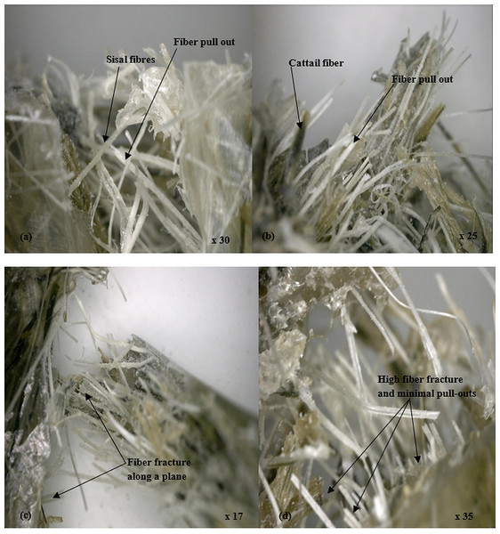 Micrographs of polyester hybrid composites showing the fracture surfaces in the composites.