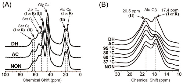 NMR spectra of SFSs.
